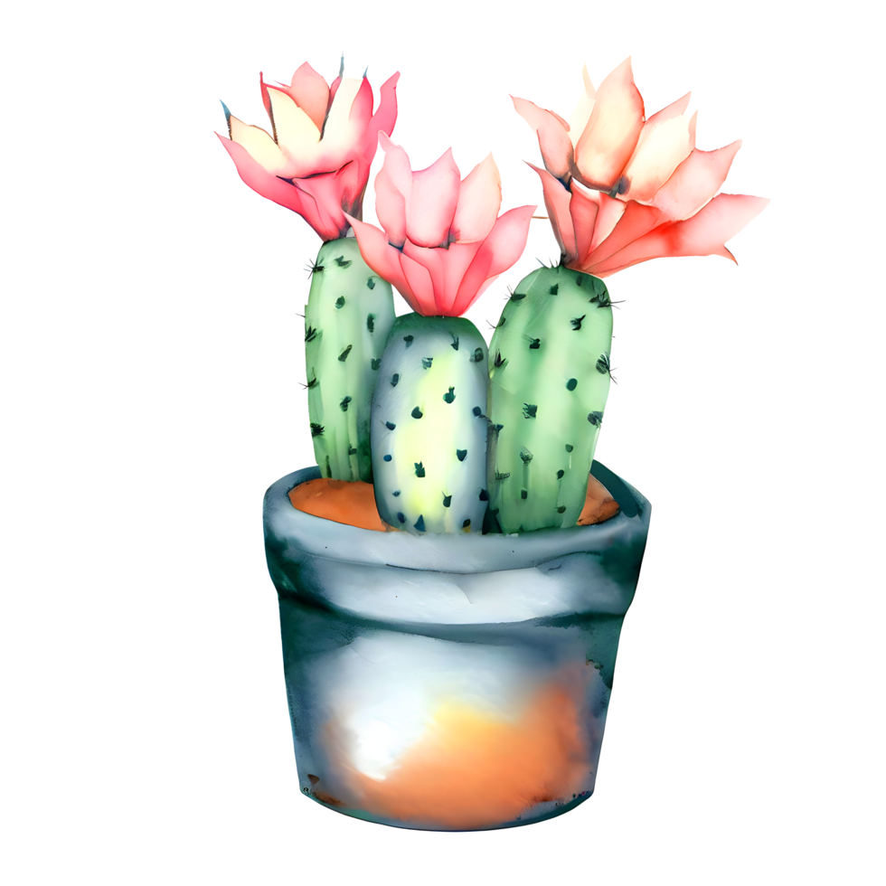 Watercolor Blooming cactus with flowers in vintage pots. png