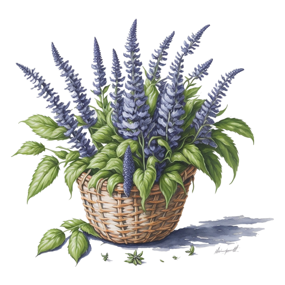 Watercolor Floral Basket, Watercolor Basket, Flower Basket, Watercolor