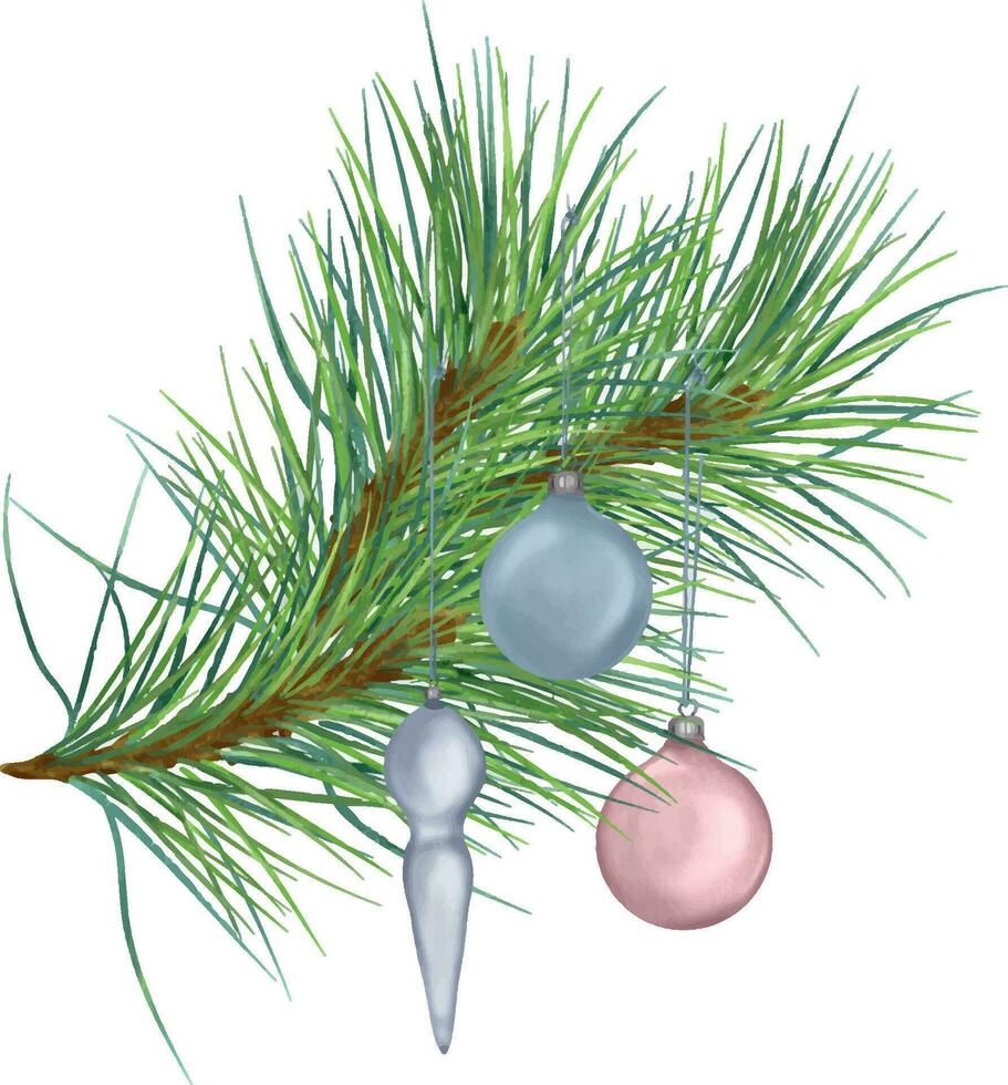 Pine branch with Christmas balls digital watercolor style illustration isolated on white. Cedar, conifer decoration hand drawn. Element for Christmas design, card, 2023 new year design, holiday print. vector