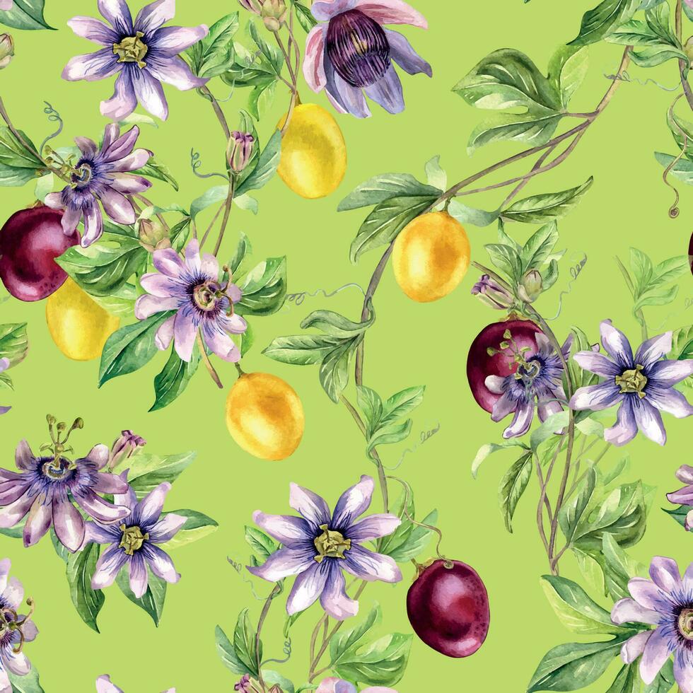 Passion flower plant and fruits watercolor seamless pattern isolated on green. Blue tropical plant, maracuja hand drawn. Design for textile, fabric, tableware, packaging, wrapping, background, paper vector