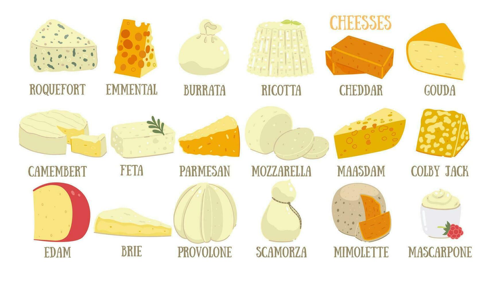 Big set of different types of cheese isolated on white background. Vector graphics.