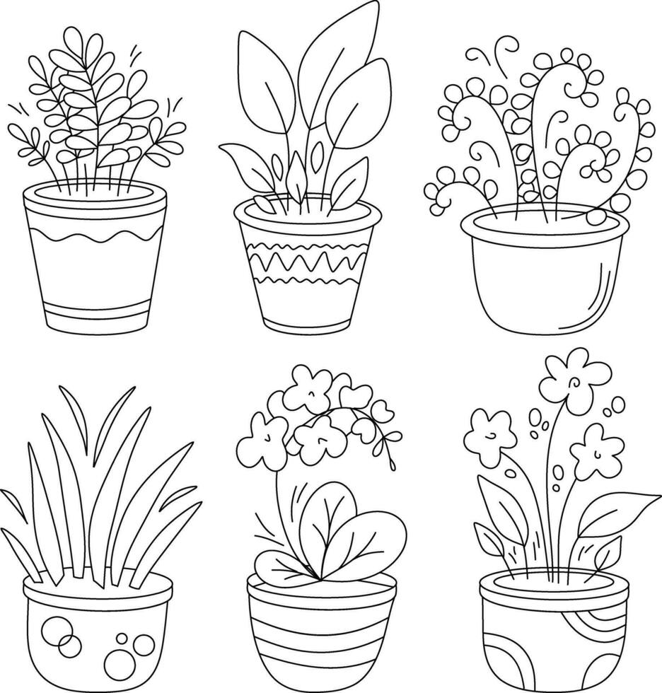 Vector image of set indoor plants in the doodle style. Orchid, flowers, grass, fern in pots doodle. Outline, template