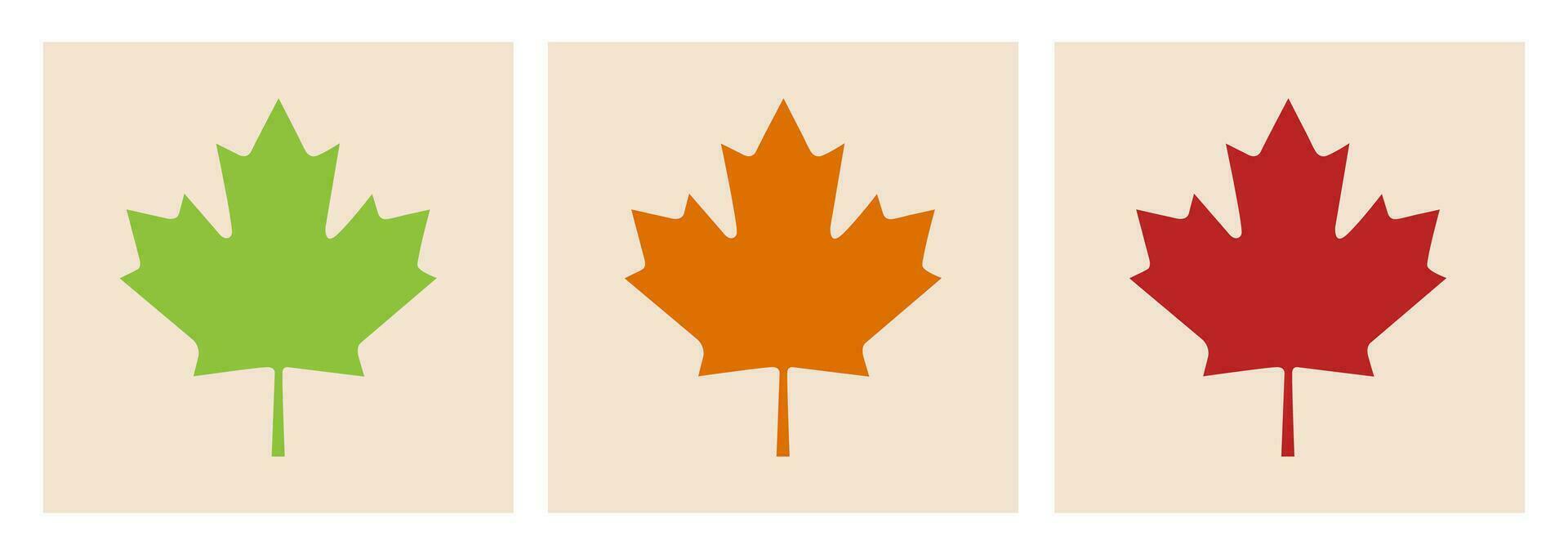 Set of three framed maple leaves. Autumn maple tree leaf for the design of greeting cards, holiday banners, and posters. Vector
