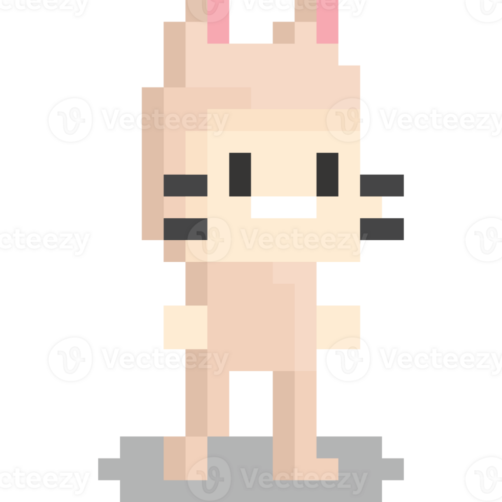 pixel konst pojke i katt maskot kostym png