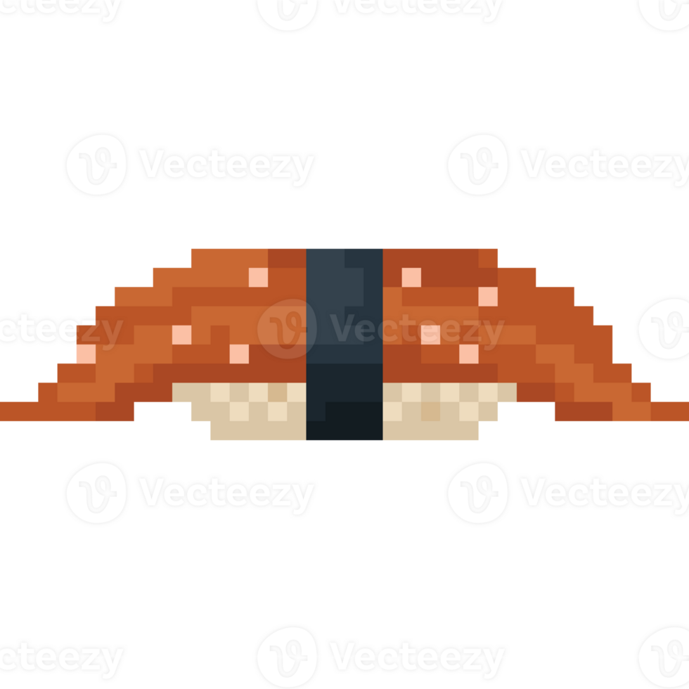 Pixel art unagi sushi icon png