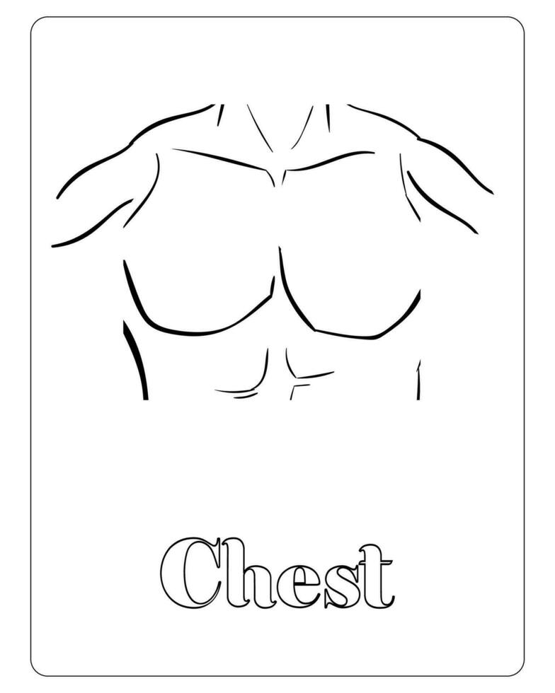 Human Body Coloring Pages, Human Body Part Vector