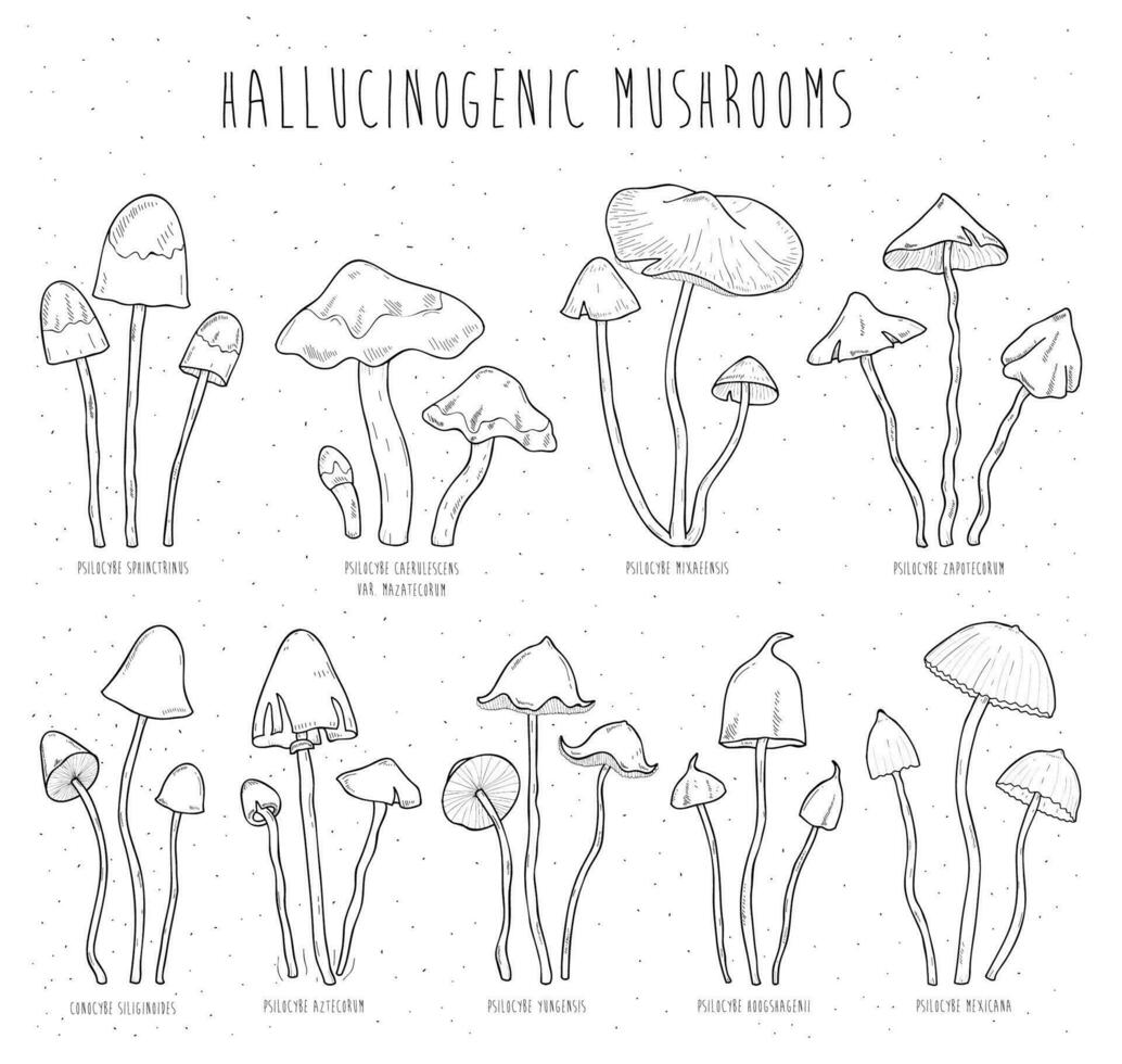 Set hallucinogenic mushrooms. Collection isolated elements vector hand drawn illustration.