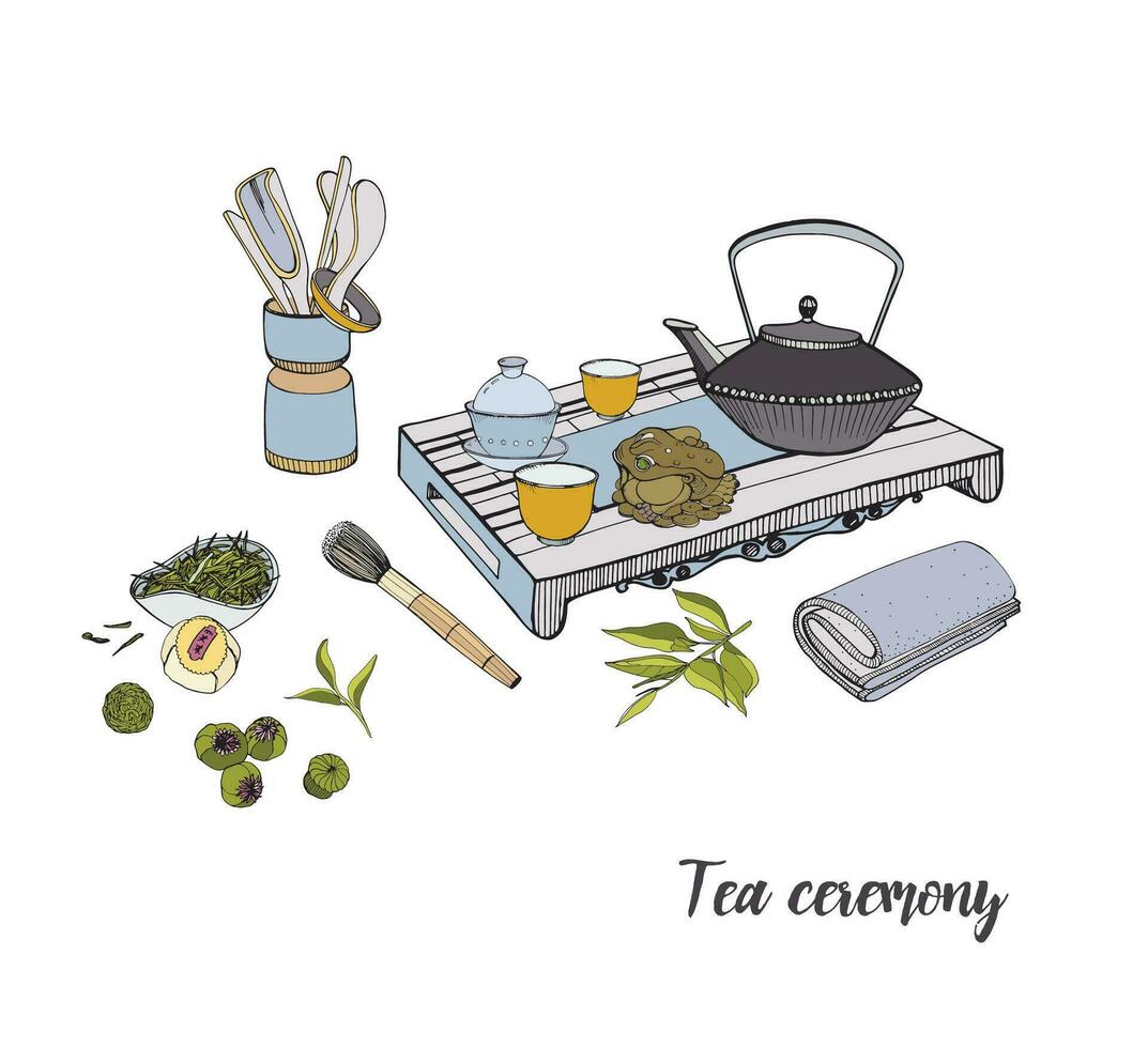 Tea ceremony with various traditional elements. Colorful hand drawn illustration. vector