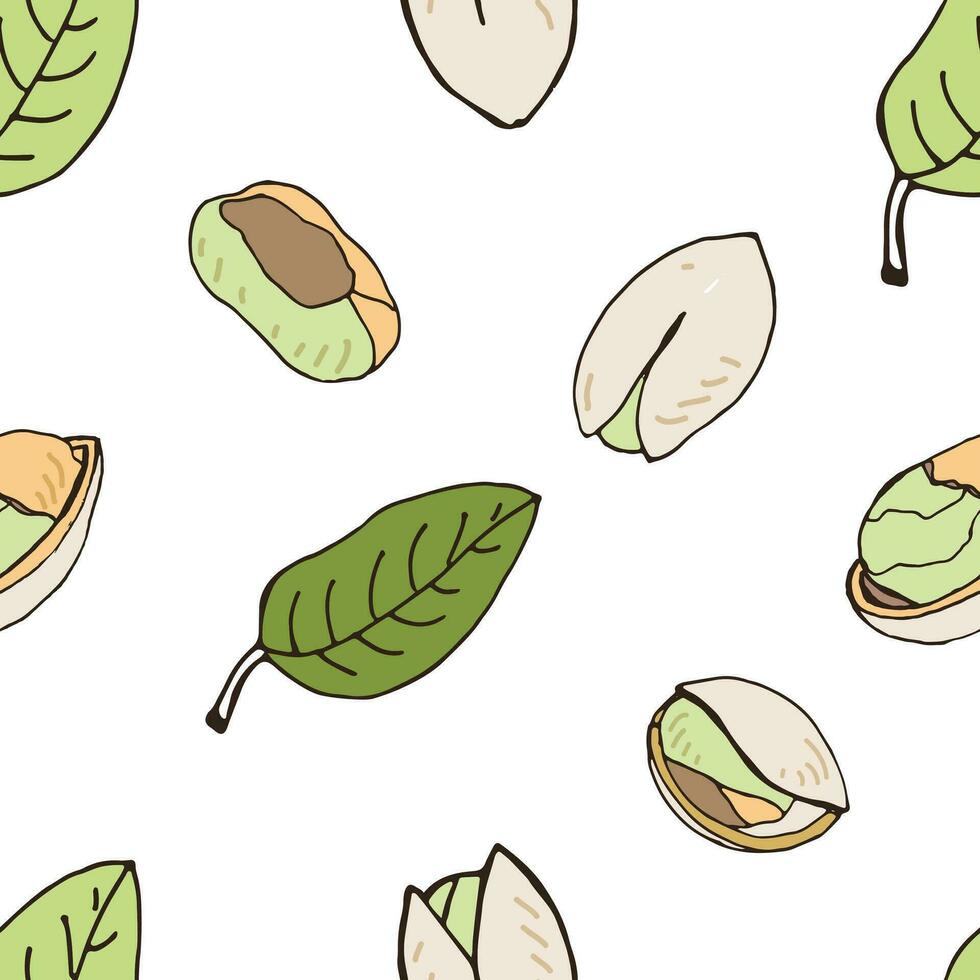 Nut seamless on white background. Hand drawn colorful pattern with pistachio. vector