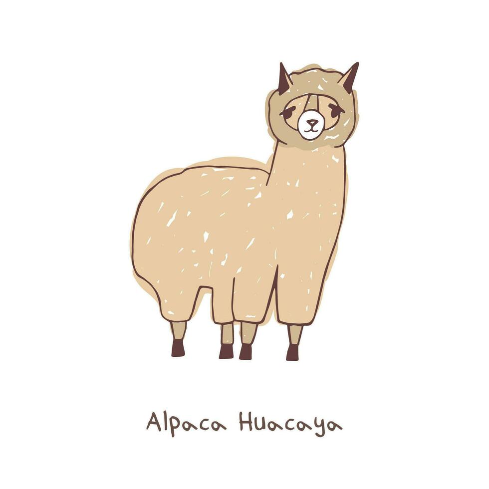 Alpaca hand drawn vector illustration on white background.