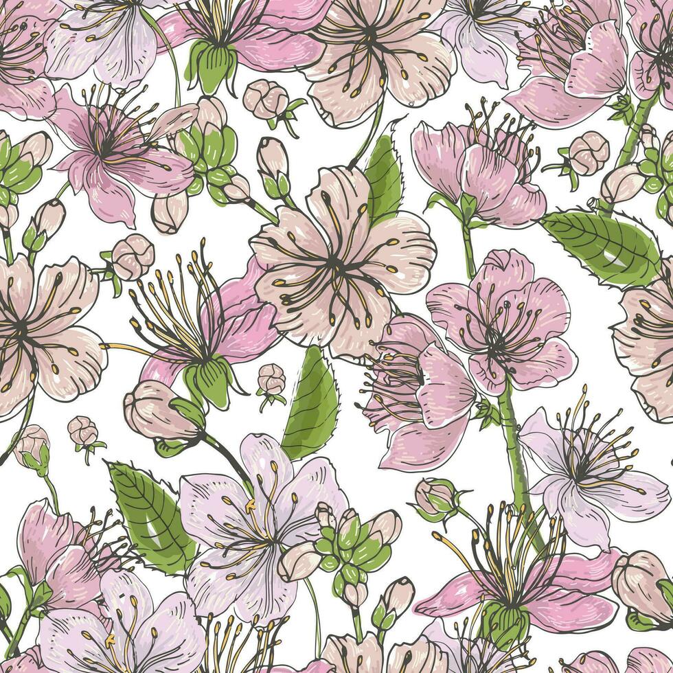 Realistic sakura hand drawn seamless pattern with buds, flowers, leaves. Colorful vintage style illustration. vector