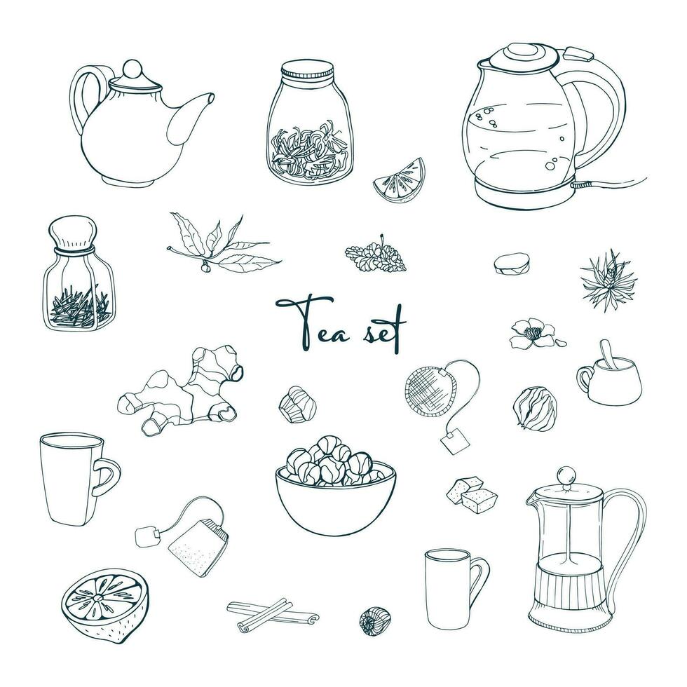 conjunto té fiesta objetos. colección con mano dibujado tetera,jar,limón,hoja,taza,jengibre,canela. vector ilustración.