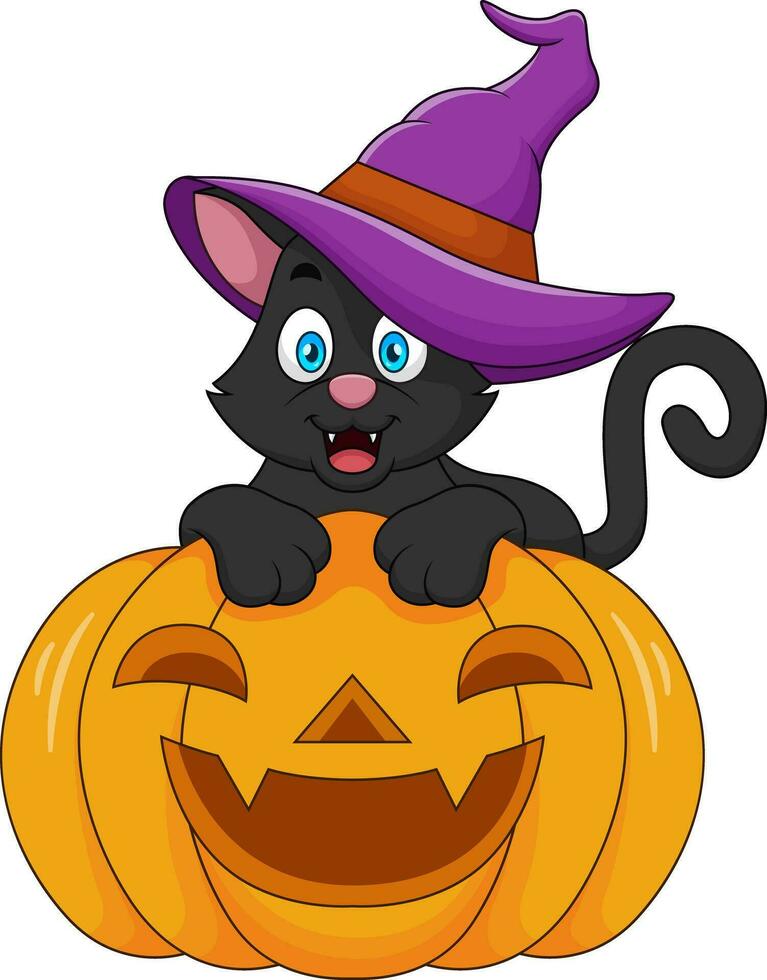 negro gato mascota dibujos animados en un bruja sombrero es sentado en un Víspera de Todos los Santos calabaza vector