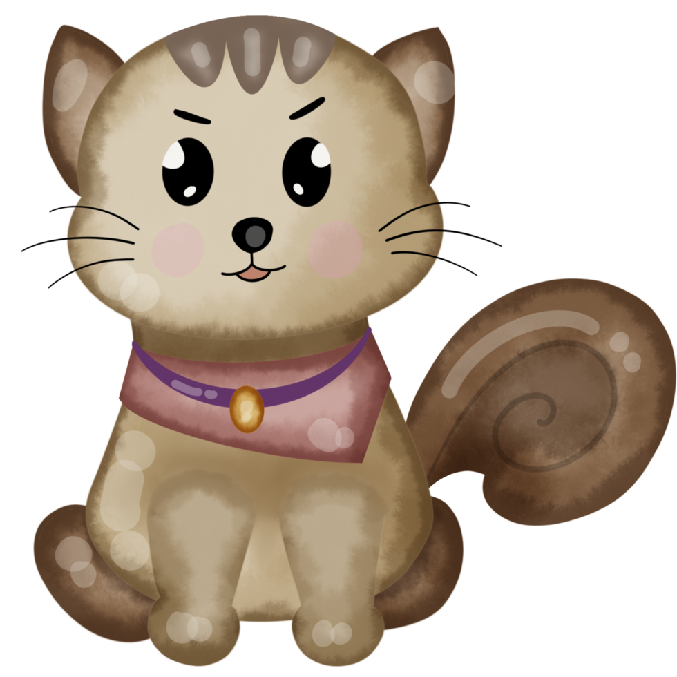 cats with outfit png