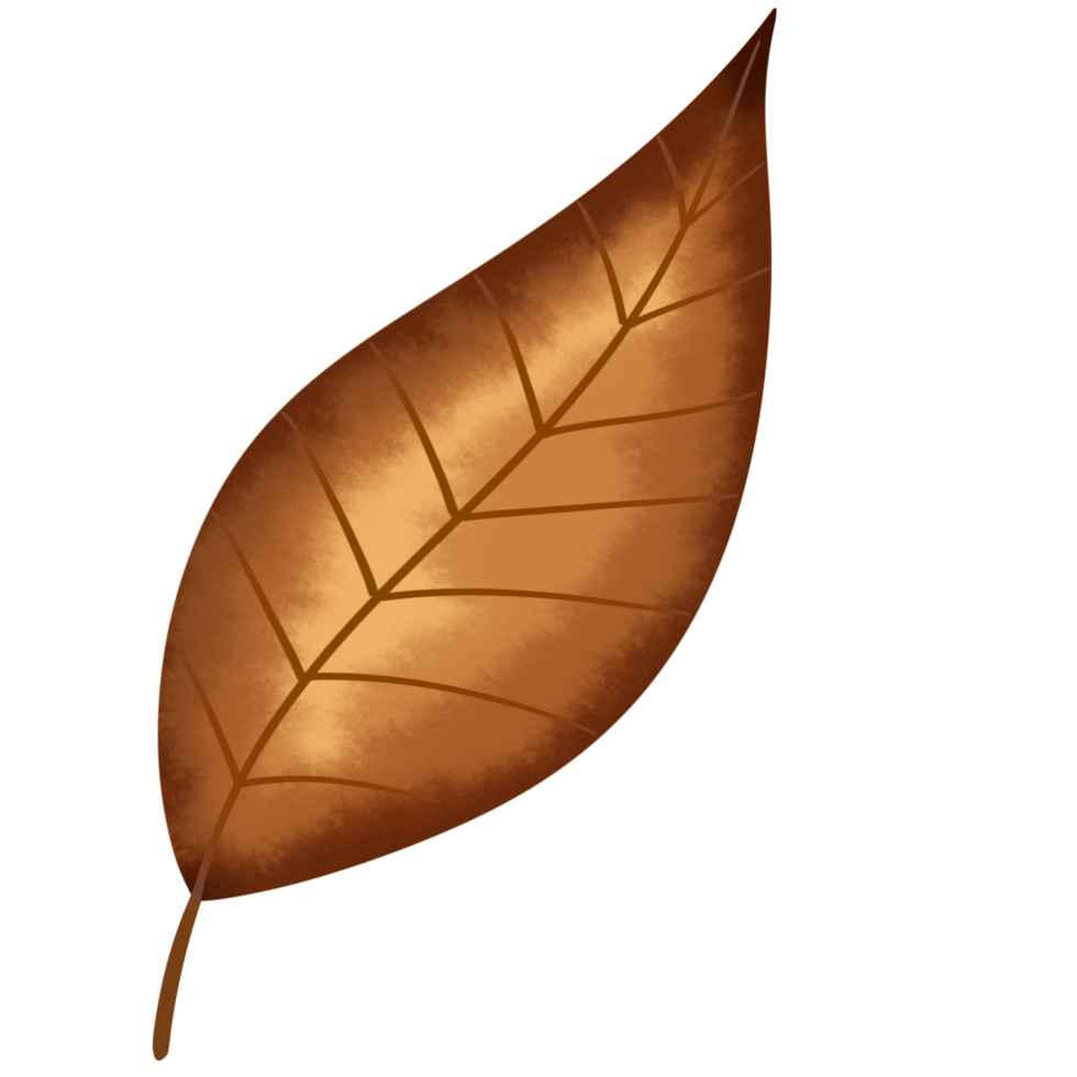 Autumn with love png