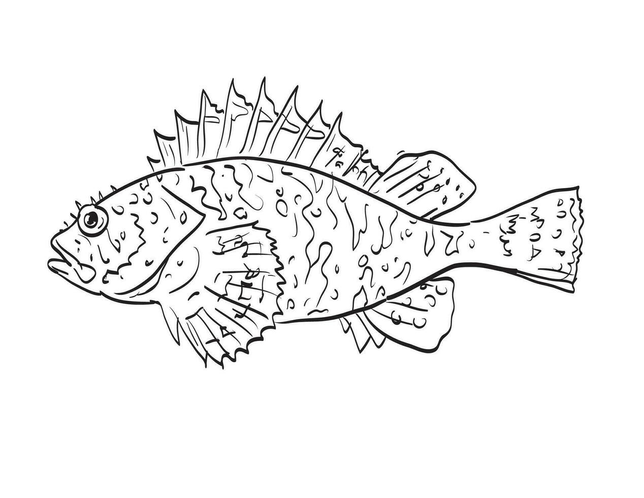 California scorpionfish Side View Cartoon Drawing vector