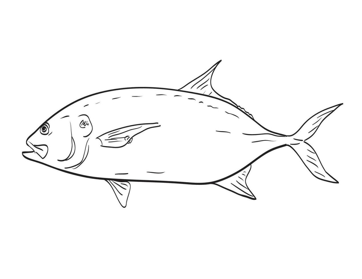 Pacific crevalle jack or Caranx caninus Side View Cartoon Drawing vector