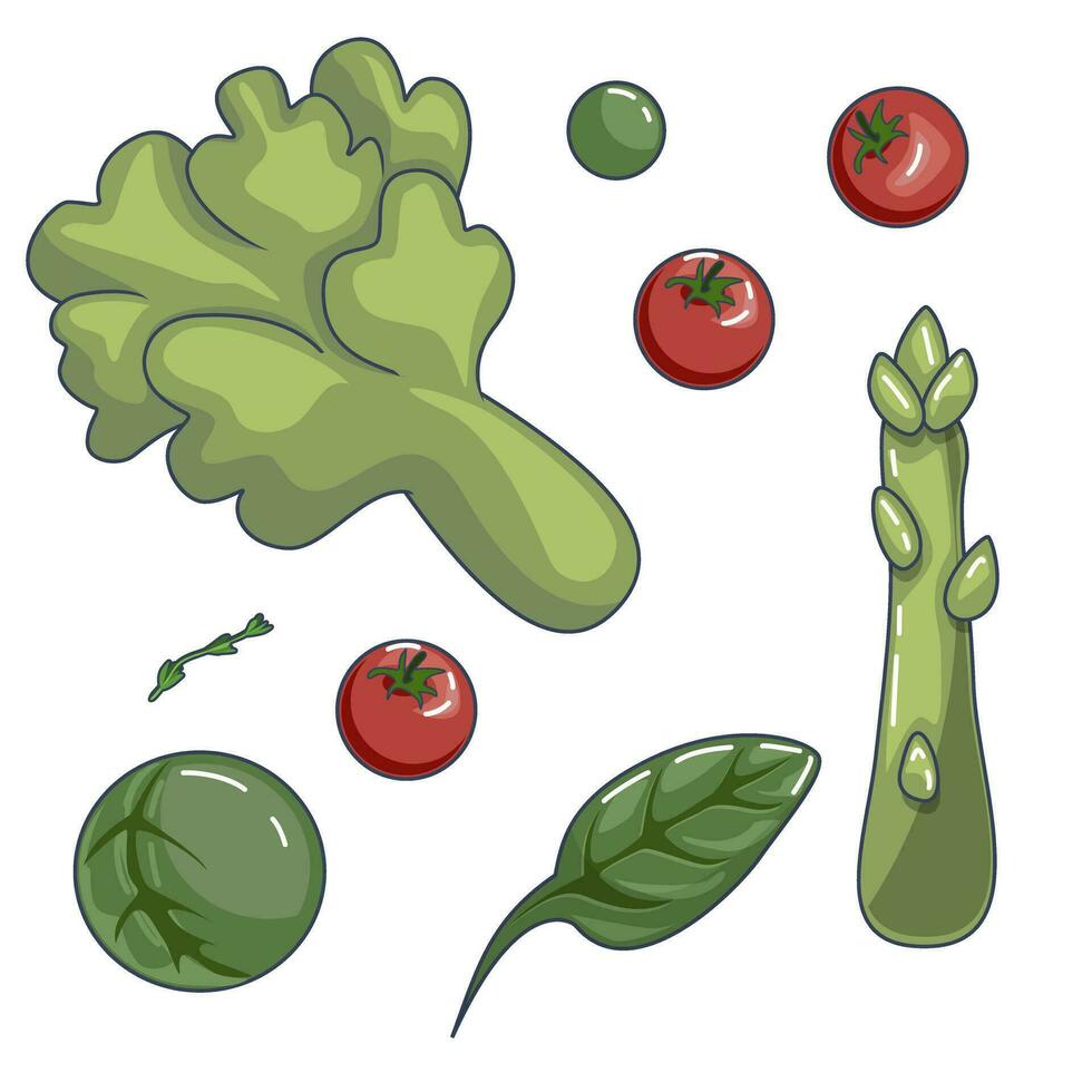 vector imagen de un vegetal conjunto y verduras para personas esforzarse para un sano estilo de vida. eps 10