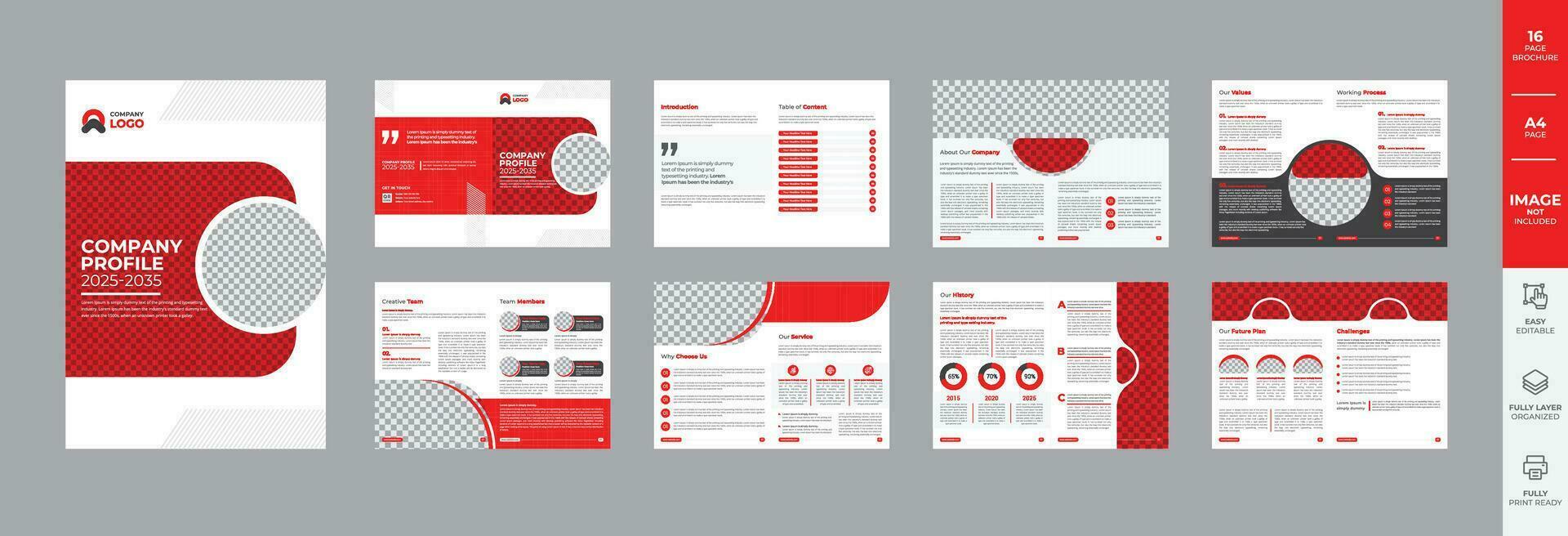 Company profile or annual report or business proposal brochure design with red modern shapes vector