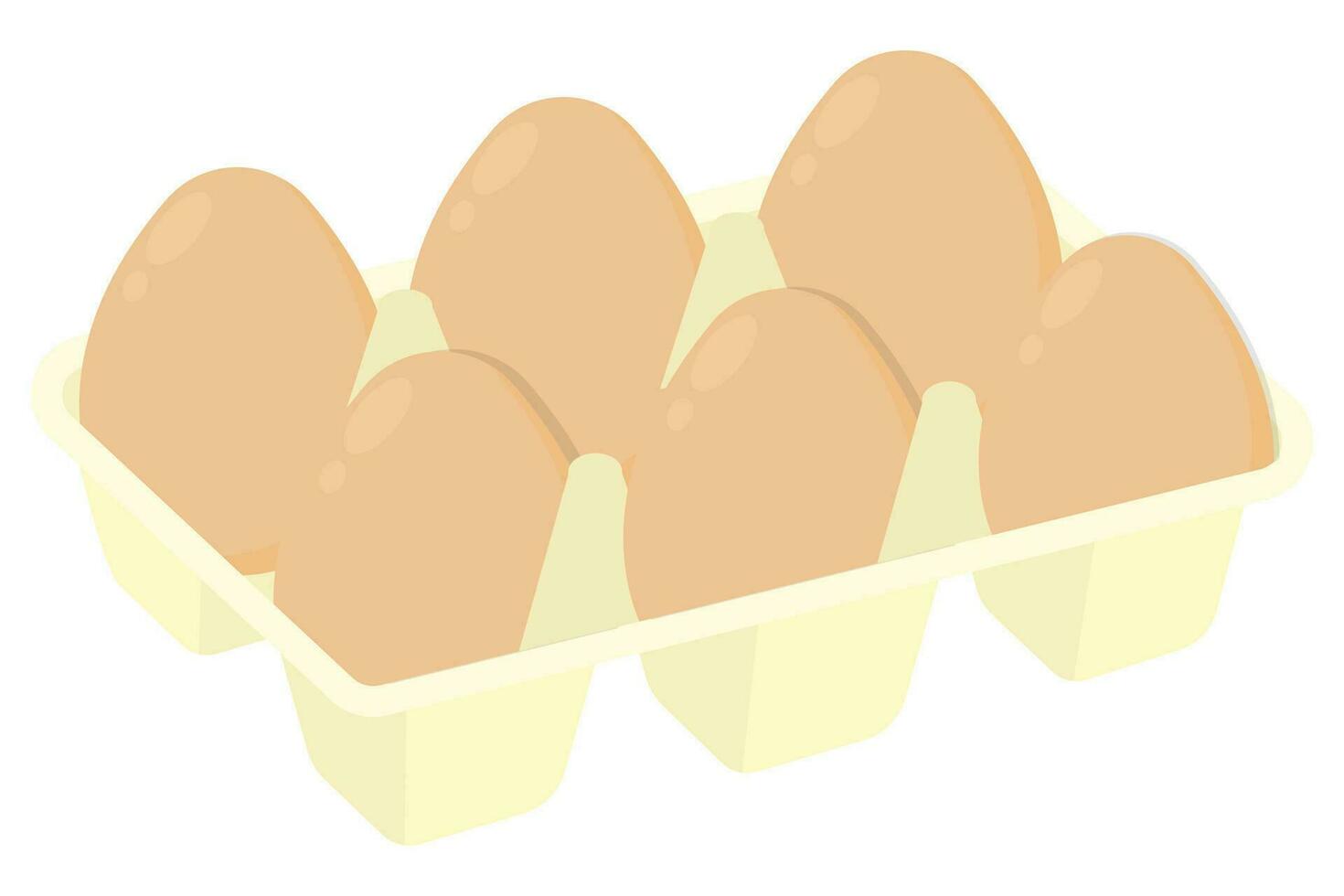 Isolated eggs on carton pack. Eggs container box cooking food cardboard vector