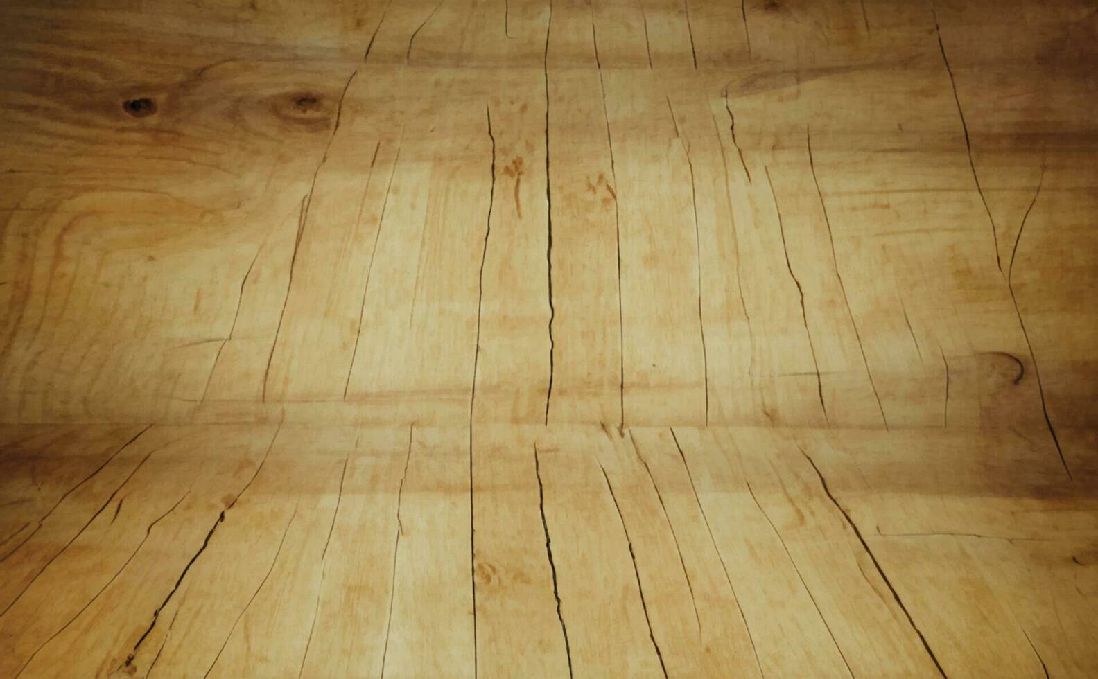 wood texture background vector