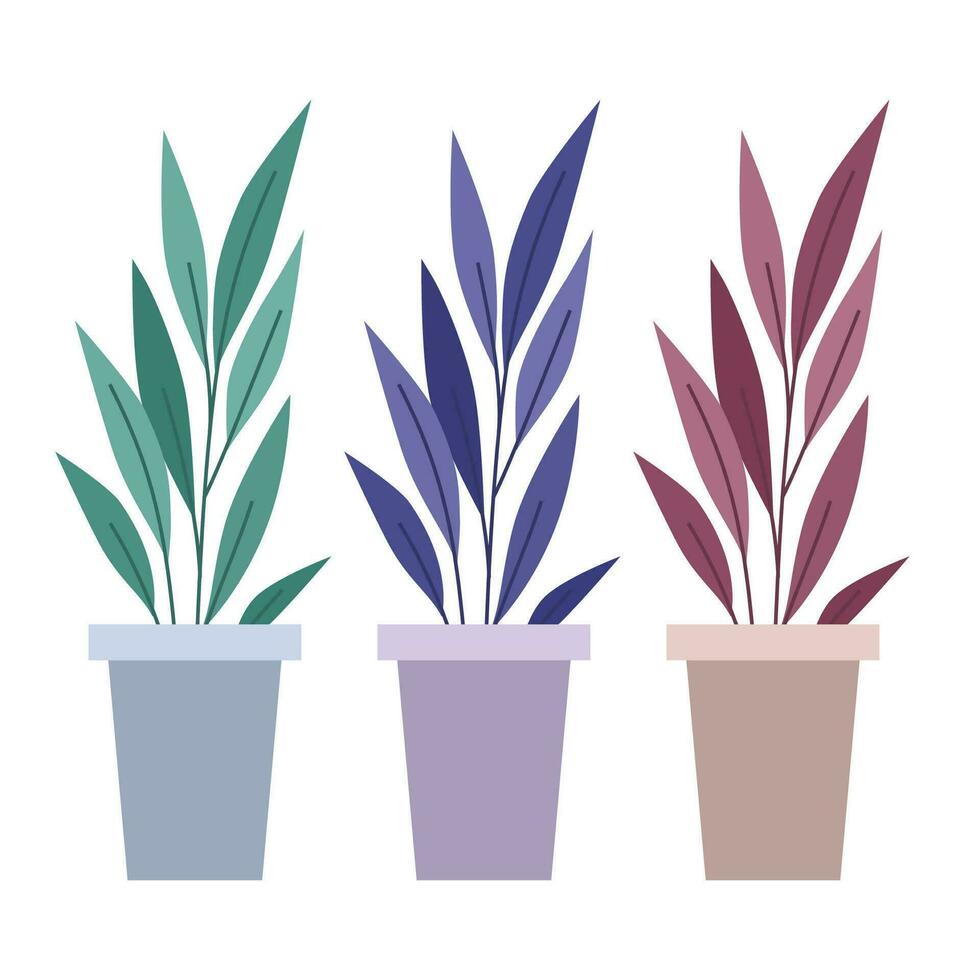 Vector collection colorful of beautiful houseplants in pots