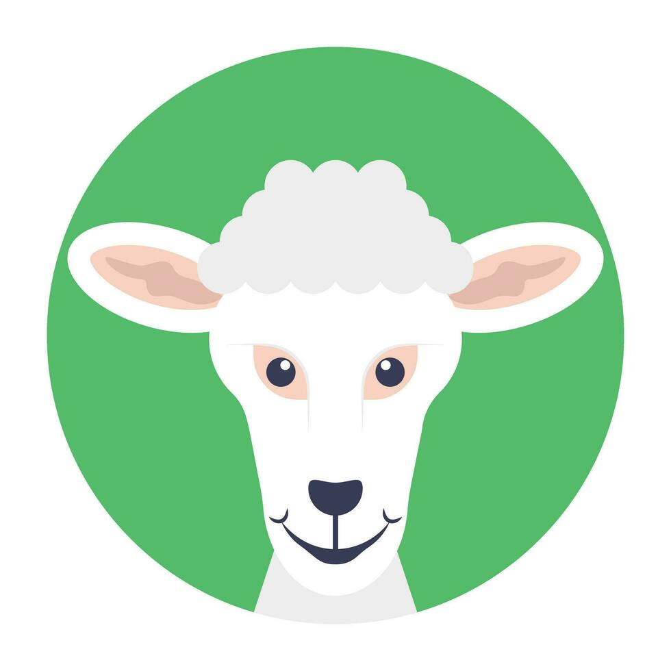 Lamb, it may refer to a young sheep vector