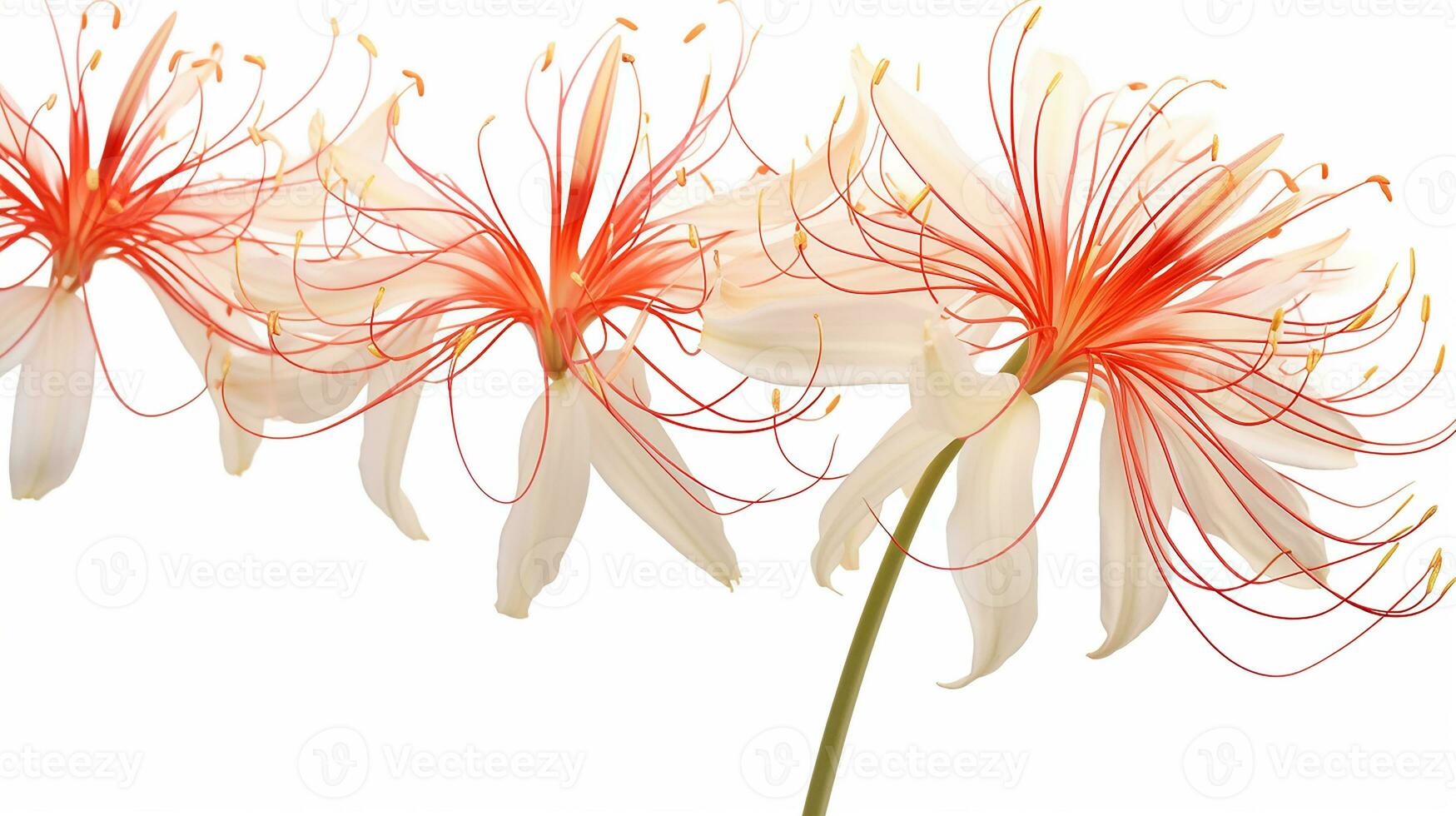 Spider Lily flower patterned background. Flower texture background. Generative AI photo