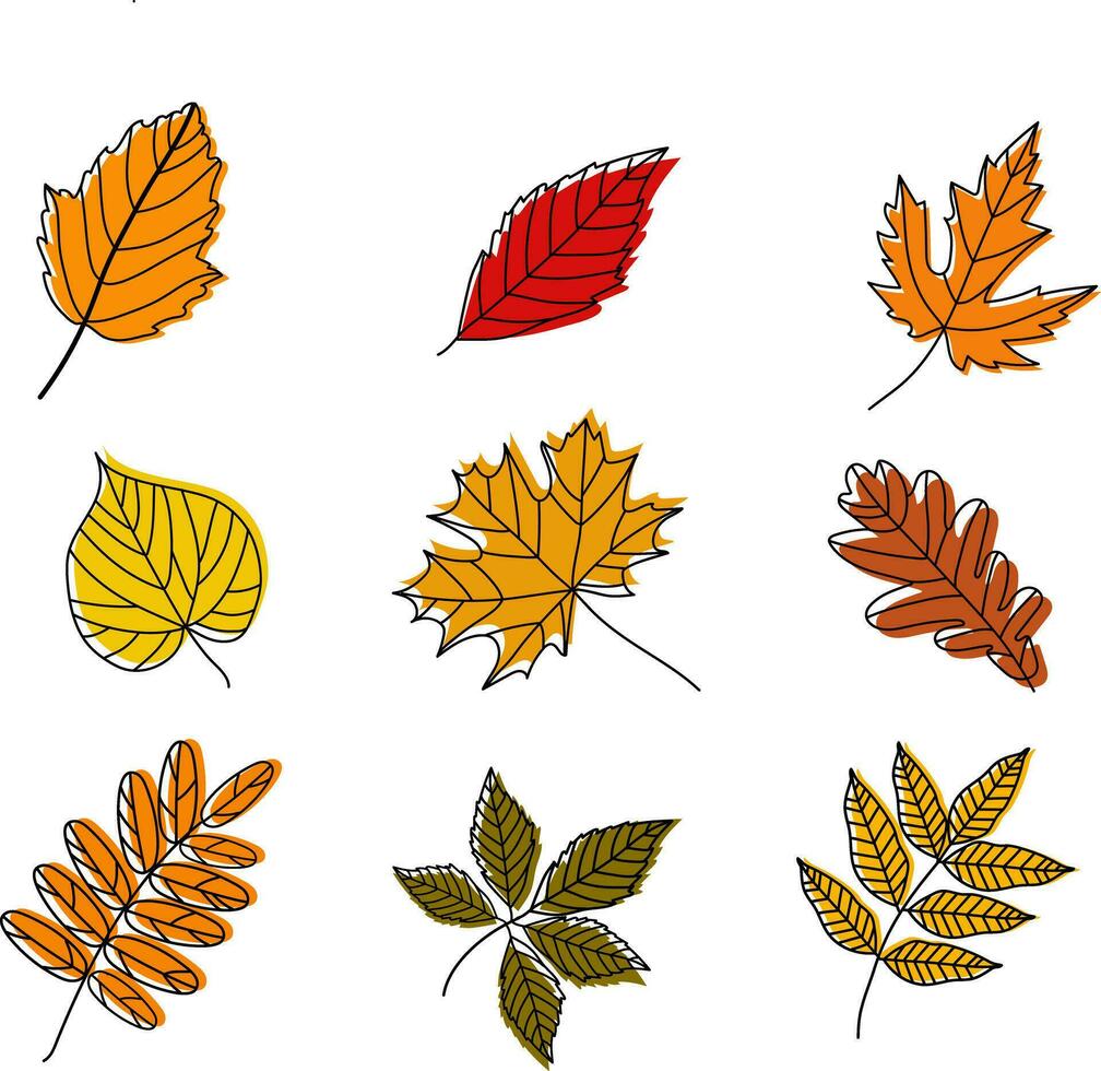 Set of autumn leaves. Vector illustration.