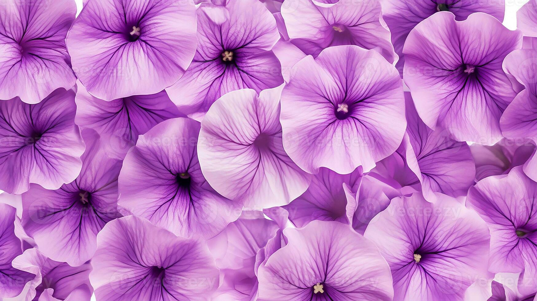 Petunia flower patterned background. Flower texture background. Generative AI photo