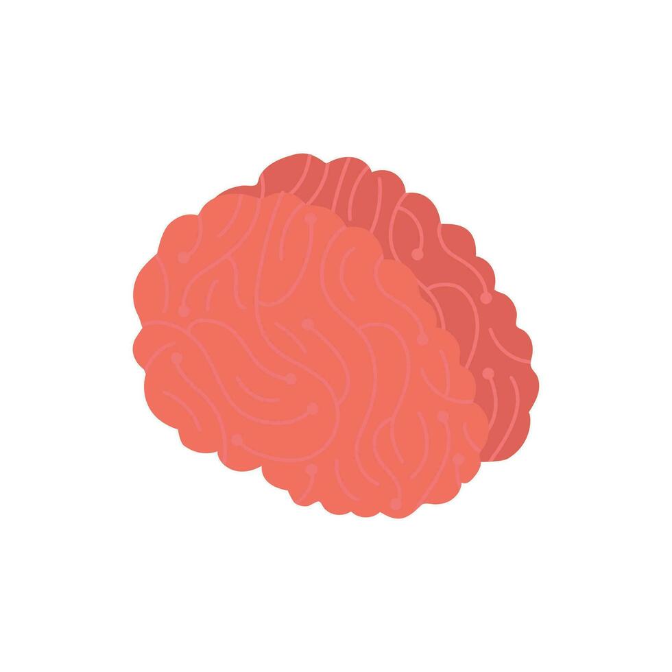 Vector brain organ concept illustration