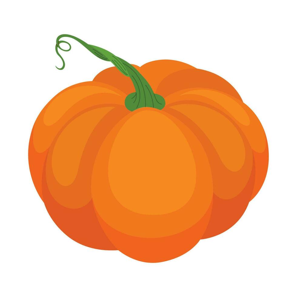 Vector orange pumpkins isolated on white background