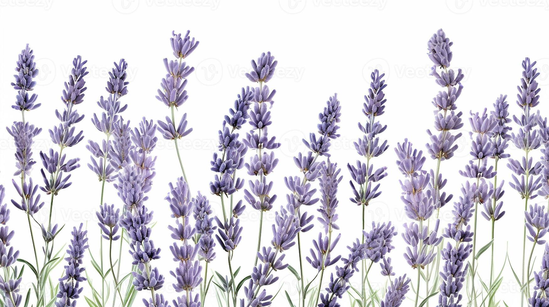 Lavender flower patterned background. Flower texture background. Generative AI photo