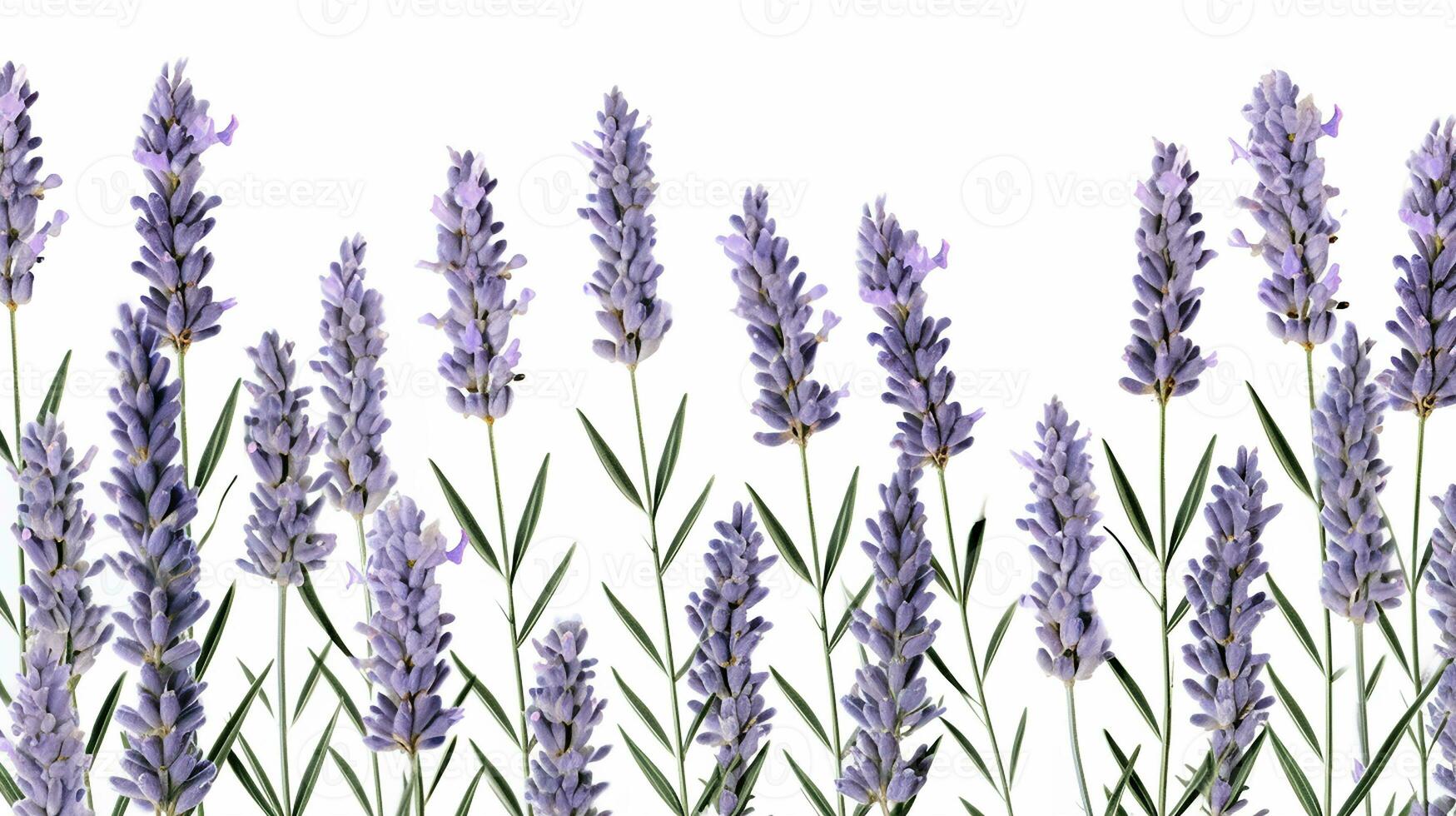 Lavender flower patterned background. Flower texture background. Generative AI photo