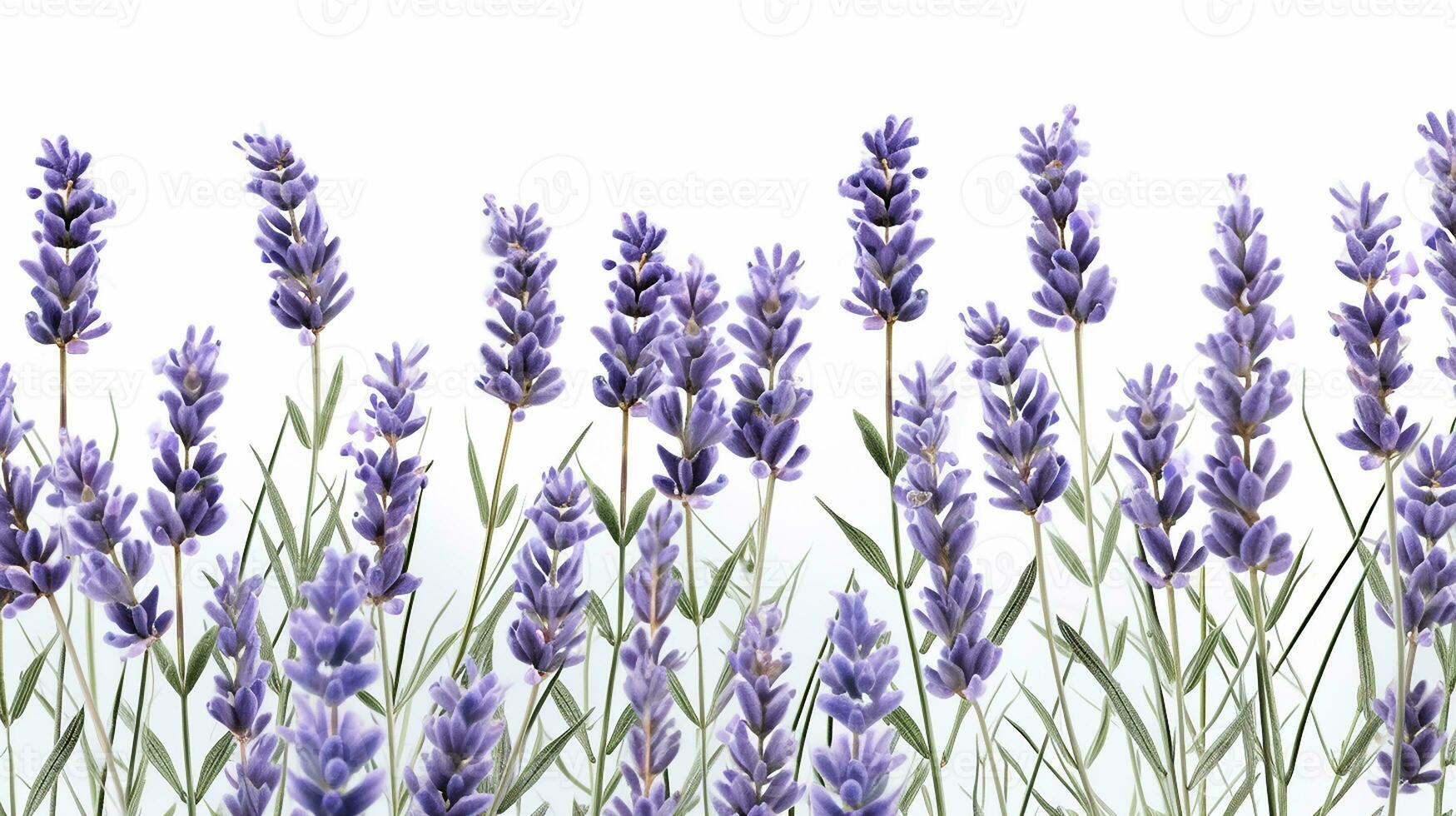 Lavender flower patterned background. Flower texture background. Generative AI photo