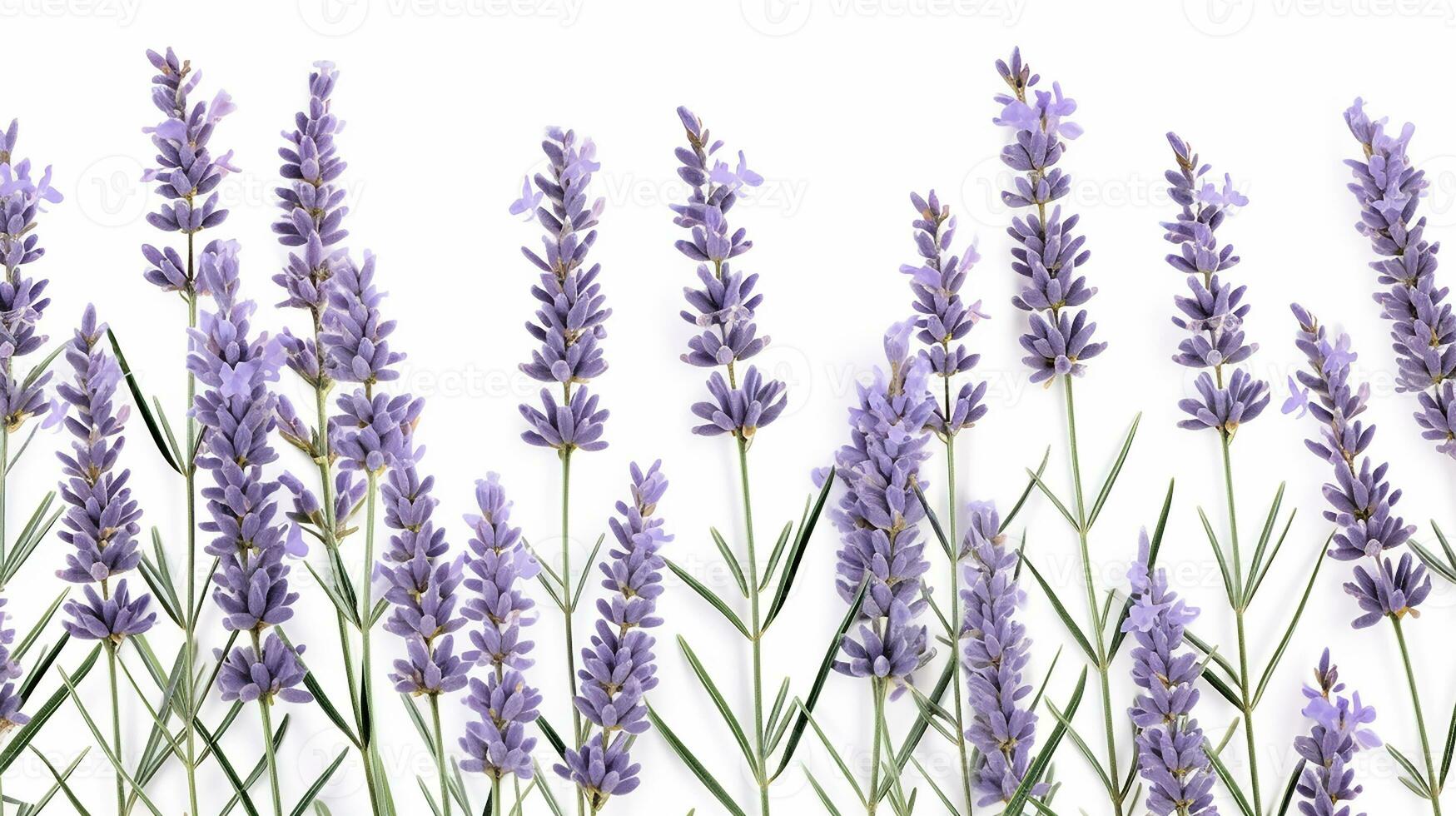 Lavender flower patterned background. Flower texture background. Generative AI photo