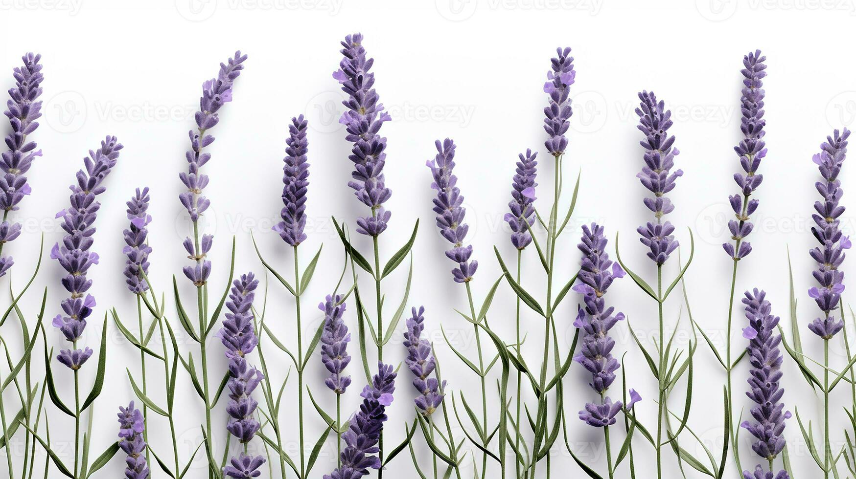 Lavender flower patterned background. Flower texture background. Generative AI photo