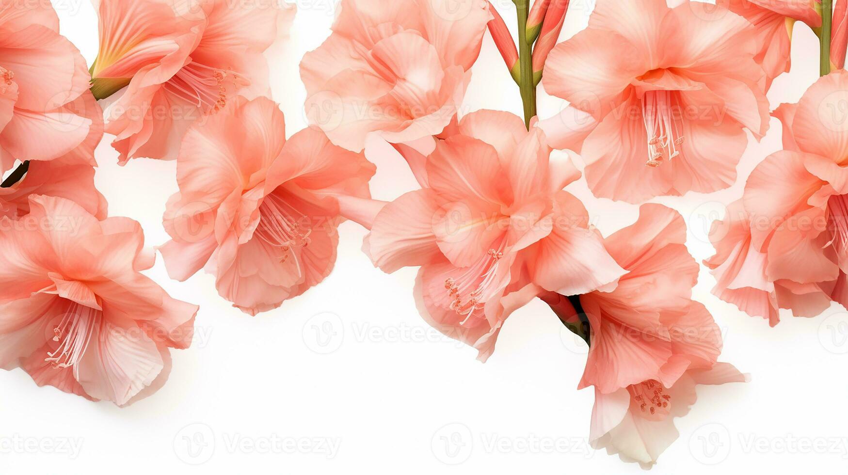 gladiolo flor estampado antecedentes. flor textura antecedentes. generativo ai foto