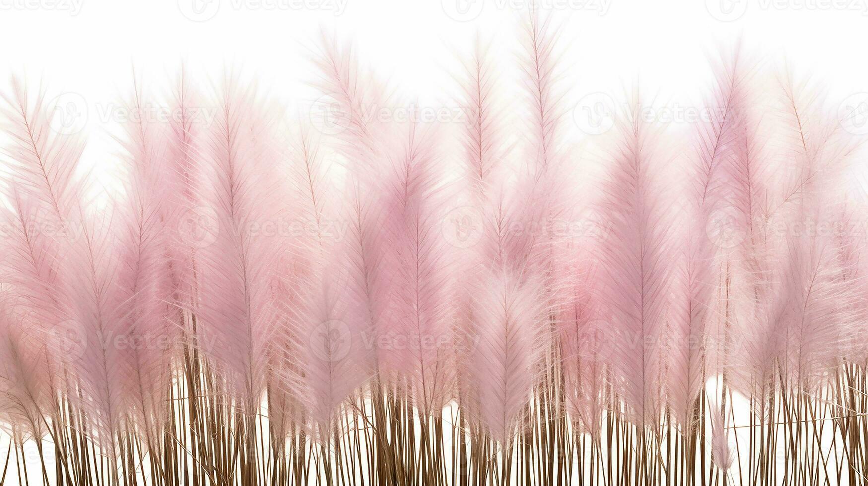 Fountain Grass flower patterned background. Flower texture background. Generative AI photo