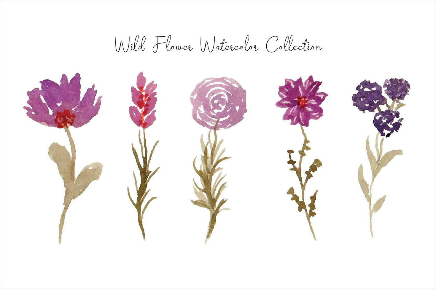 purple wild flower and leaf watercolor vector