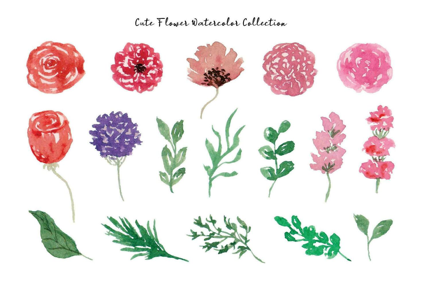 Beautiful Flower and Leaf Watercolor Collection vector