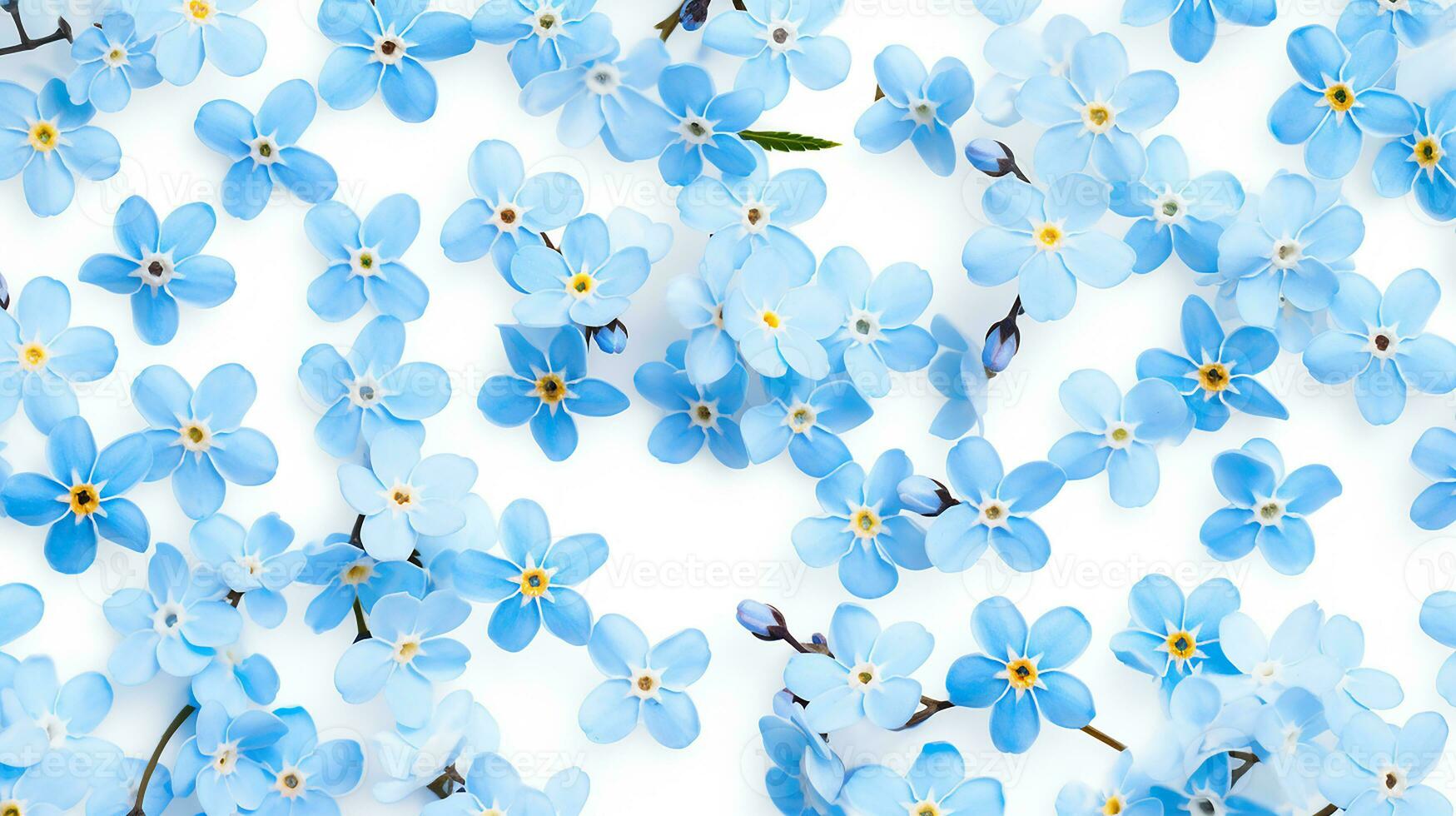 Forget-Me-Not flower patterned background. Flower texture background. Generative AI photo