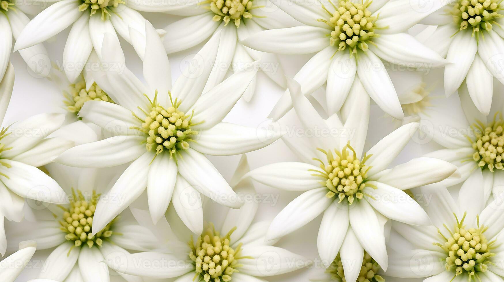 Edelweiss flor estampado antecedentes. flor textura antecedentes. generativo ai foto