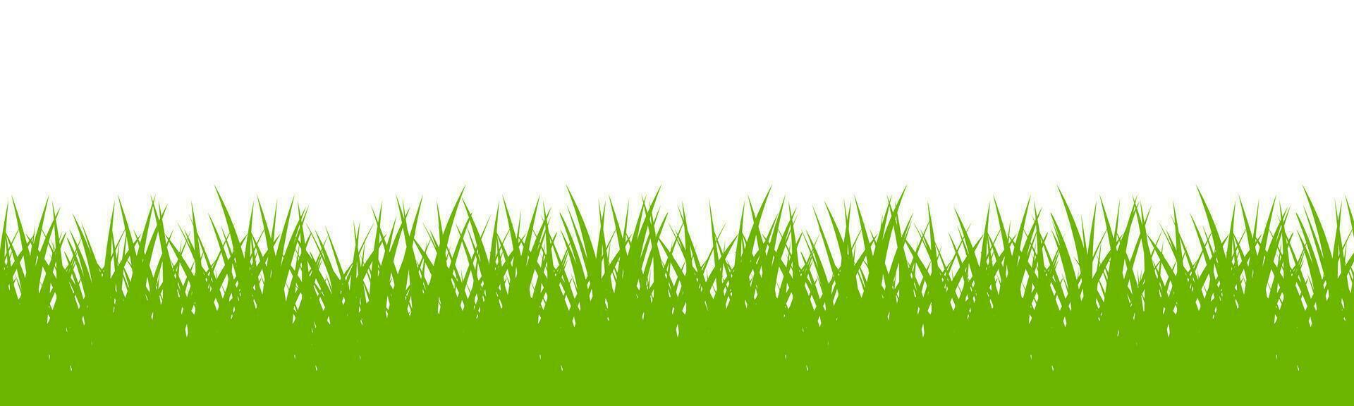 green grass vector background