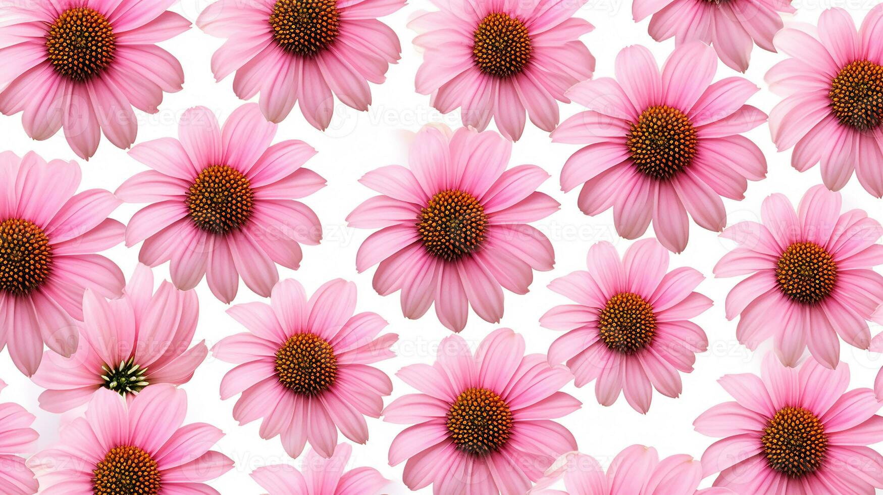 Echinacea flower patterned background. Flower texture background. Generative AI photo