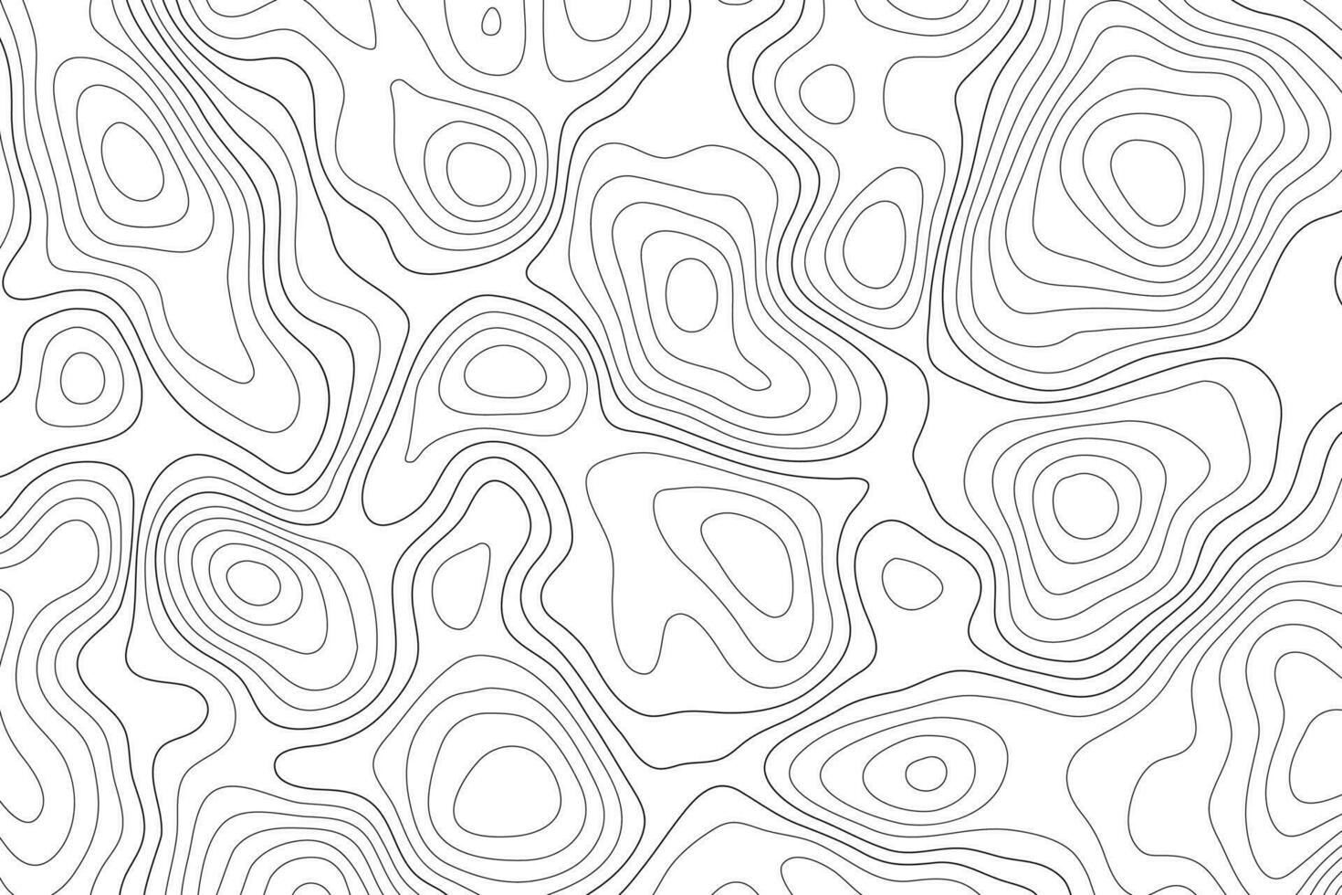 Topographic mapBackground, topography line map. vector