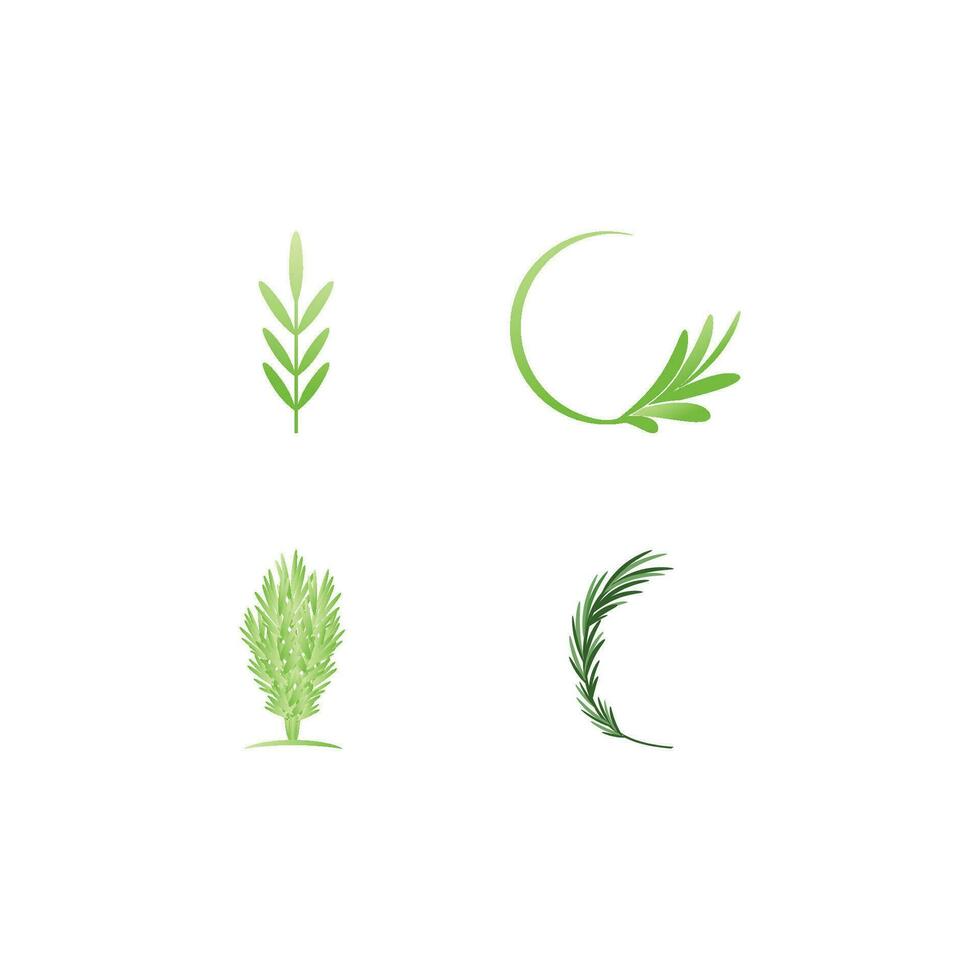 Rosemary  logo vector illustration template business element and symbol design