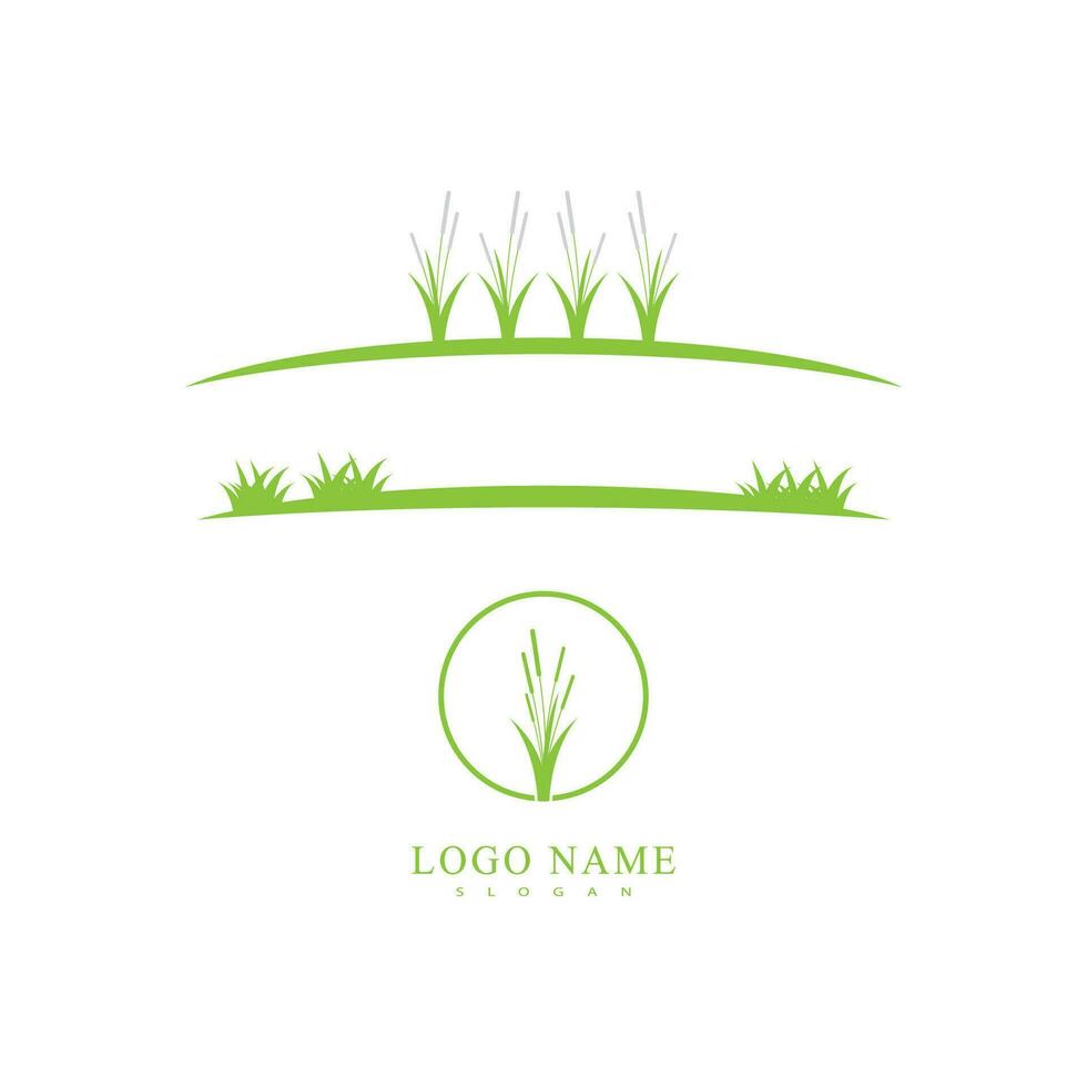 Grass  grassland green natural vector logos vector business element and symbol design