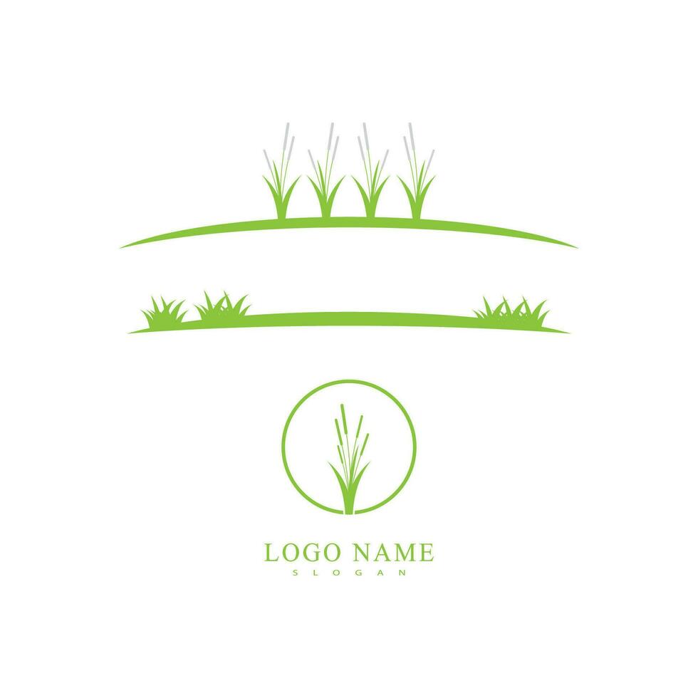 césped pradera verde natural vector logos vector negocio elemento y símbolo diseño