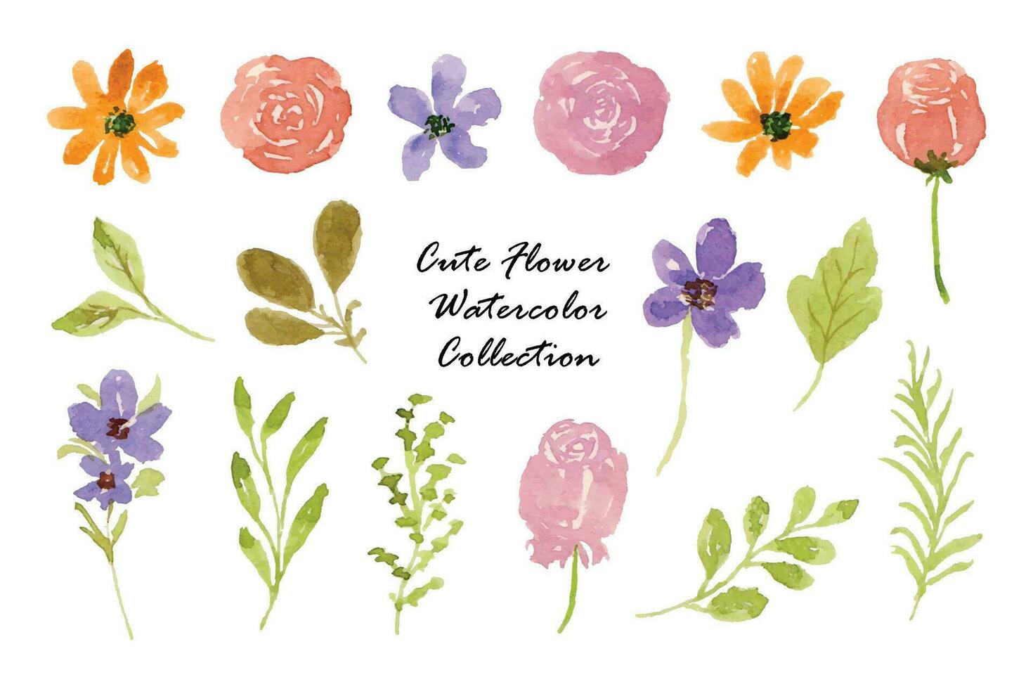 Beautiful Flower and Leaf Watercolor Collection vector